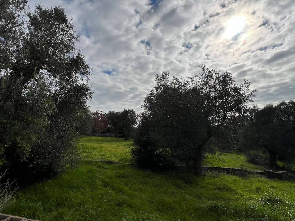 Terreno a Ostuni in Contrada Lamatroccola - Foto 3