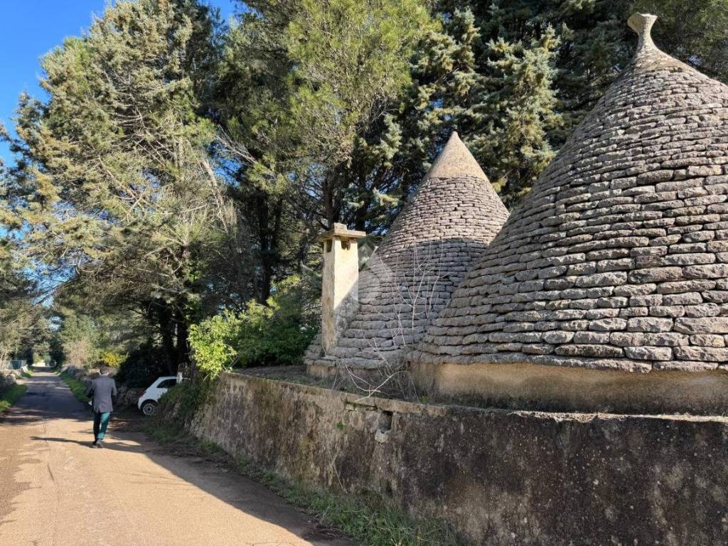 Rustico / casale a Martina franca in Contrada peppuccio - Foto 2