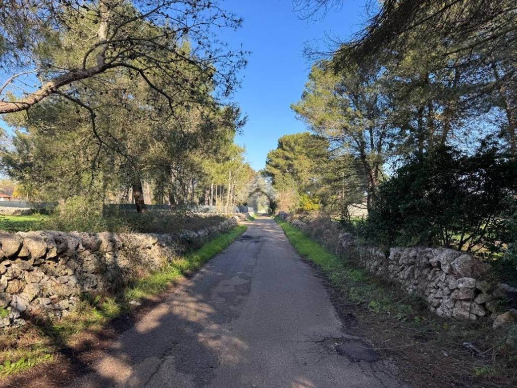 Rustico / casale a Martina franca in Contrada peppuccio - Foto 3