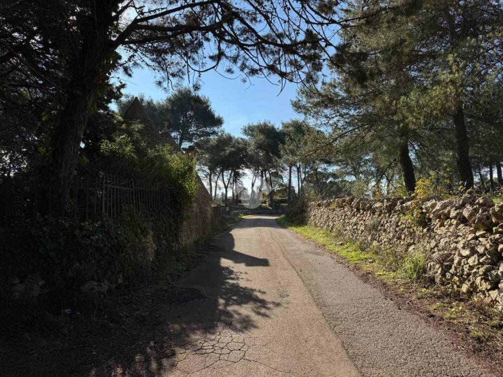 Rustico / casale a Martina franca in Contrada peppuccio - Foto 4