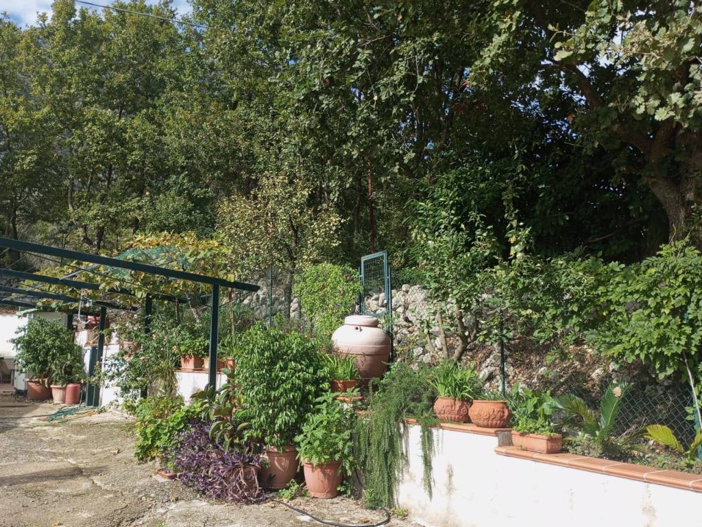 Villa a Ausonia in Via Spiniccio, 3 - Foto 5