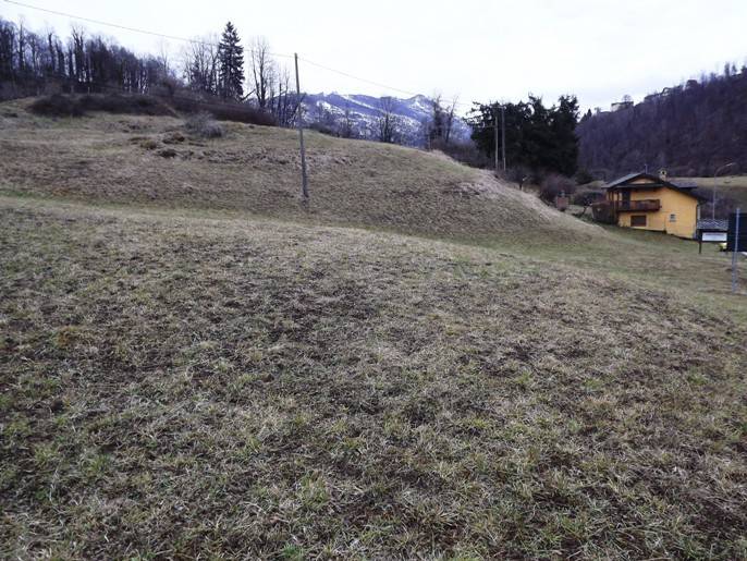 Terreno a Taleggio in Frazione Sottochiesa - Foto 2