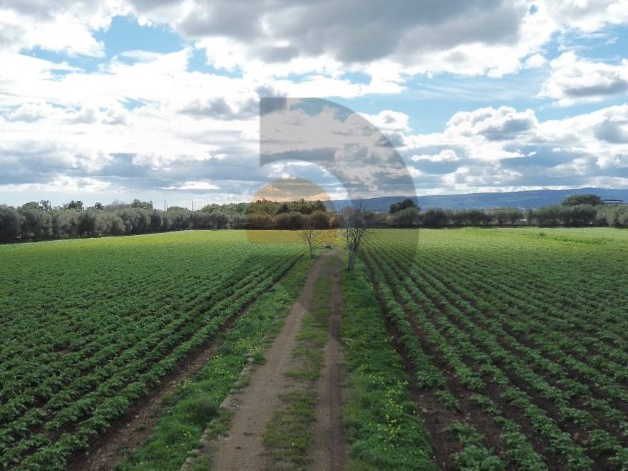 Rustico / casale a Augusta in Contrada Cuccumelli - Foto 4