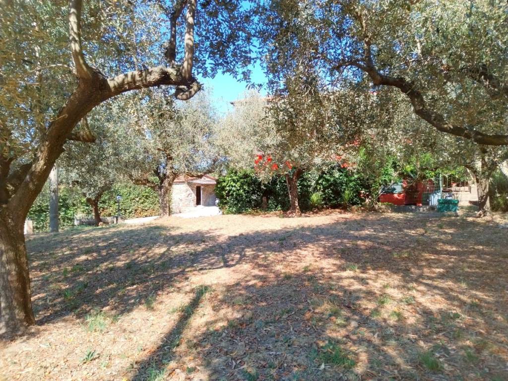 Villa a Sarzana - Foto 4