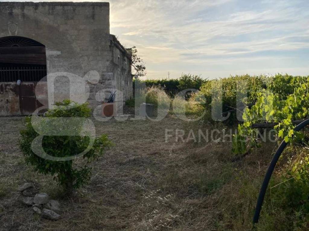 Rustico / casale a Barletta in Contrada Pozzelle - Foto 3
