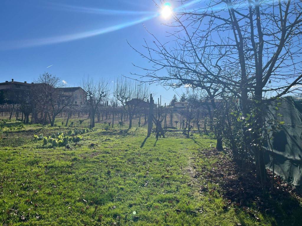 Terreno a Arezzo - Foto 3