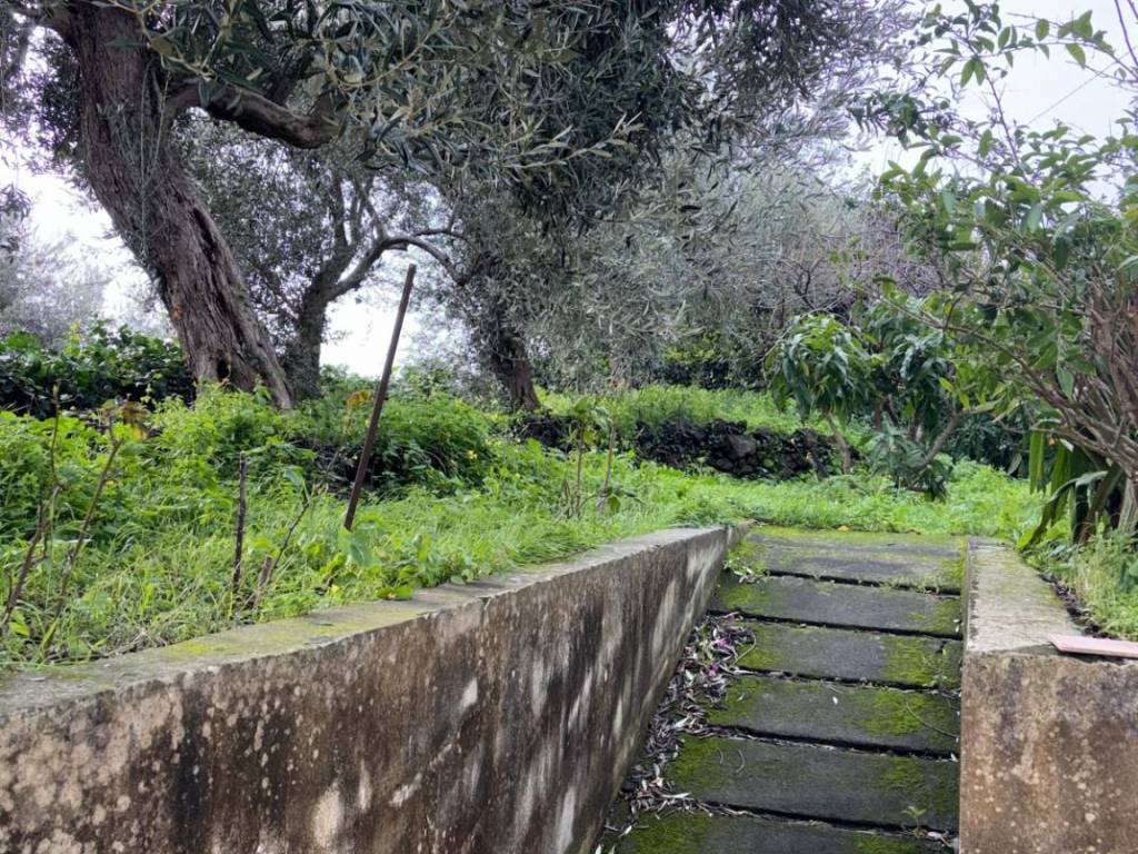 Rustico / casale a Acireale in Via Provinciale per Riposto, 109 - Foto 3