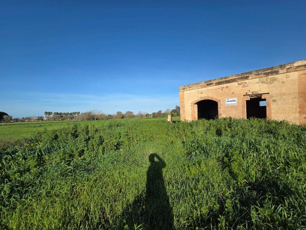 Terreno a Parabita in Contrada Tornesella - Tammali - Foto 2