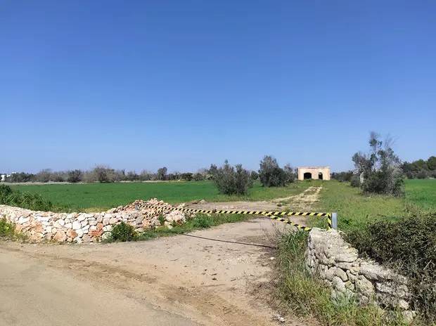 Terreno a Parabita in Contrada Tornesella - Tammali - Foto 4