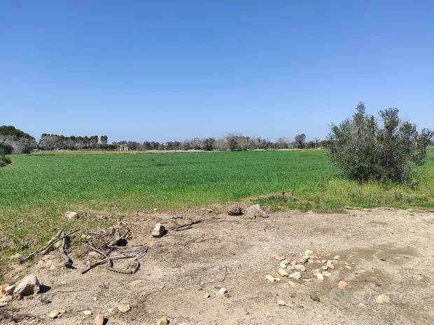 Terreno a Parabita in Contrada Tornesella - Tammali - Foto 5