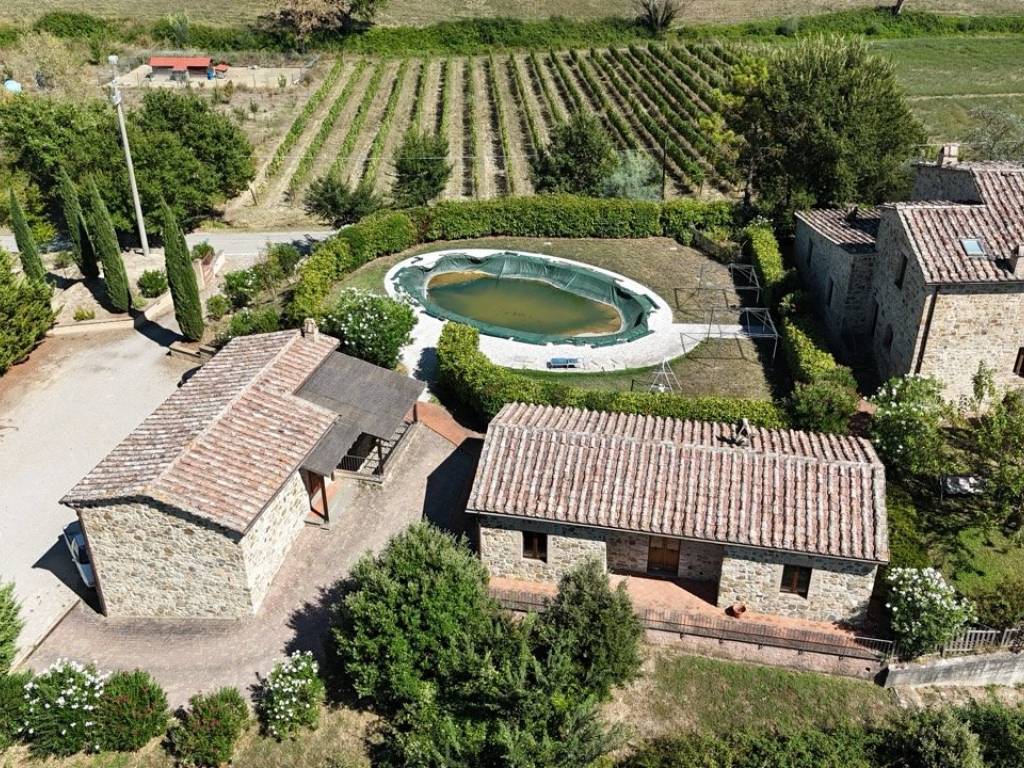 Rustico / casale a Montalcino in SP45 - Foto 4