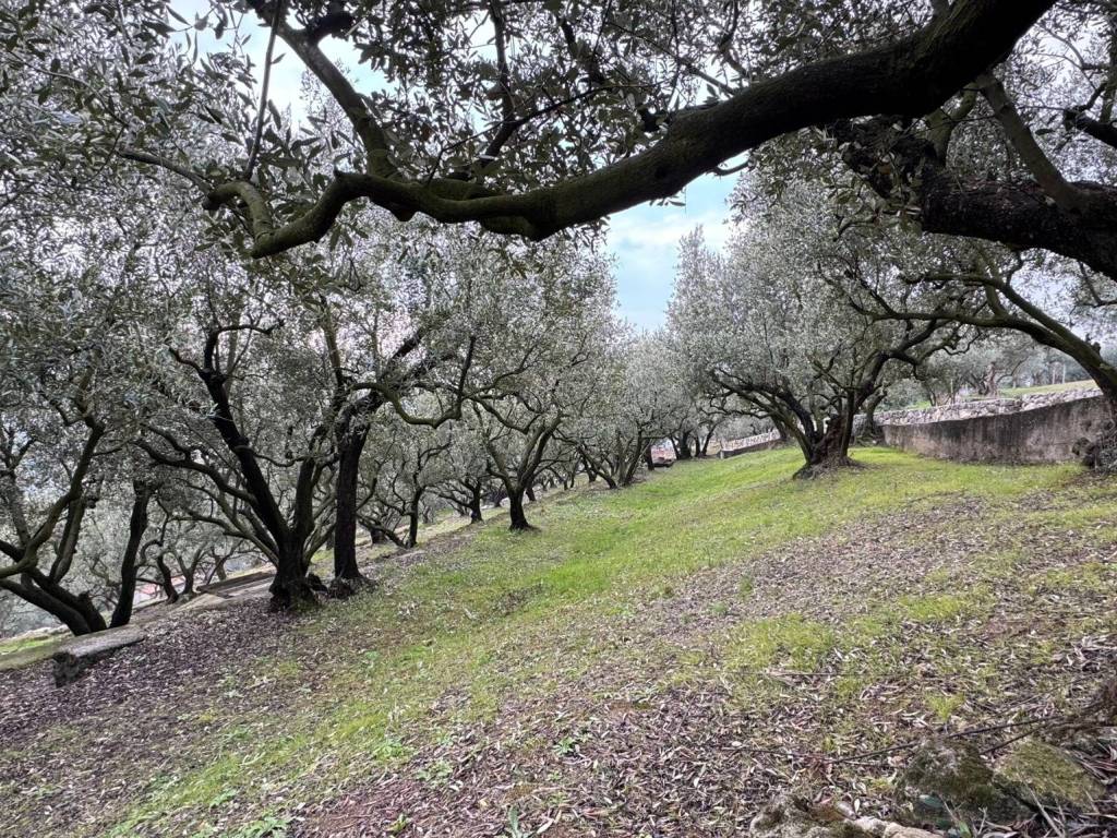 Terreno a Verona in Via Are Zovo - Foto 4