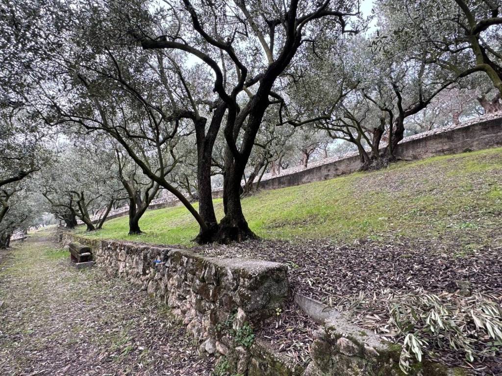 Terreno a Verona in Via Are Zovo - Foto 5