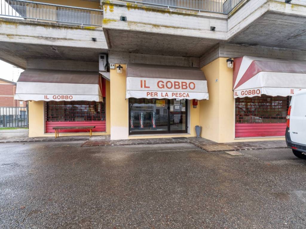 Immobile a Novi di modena in Strada Provinciale Mantova - Foto 3
