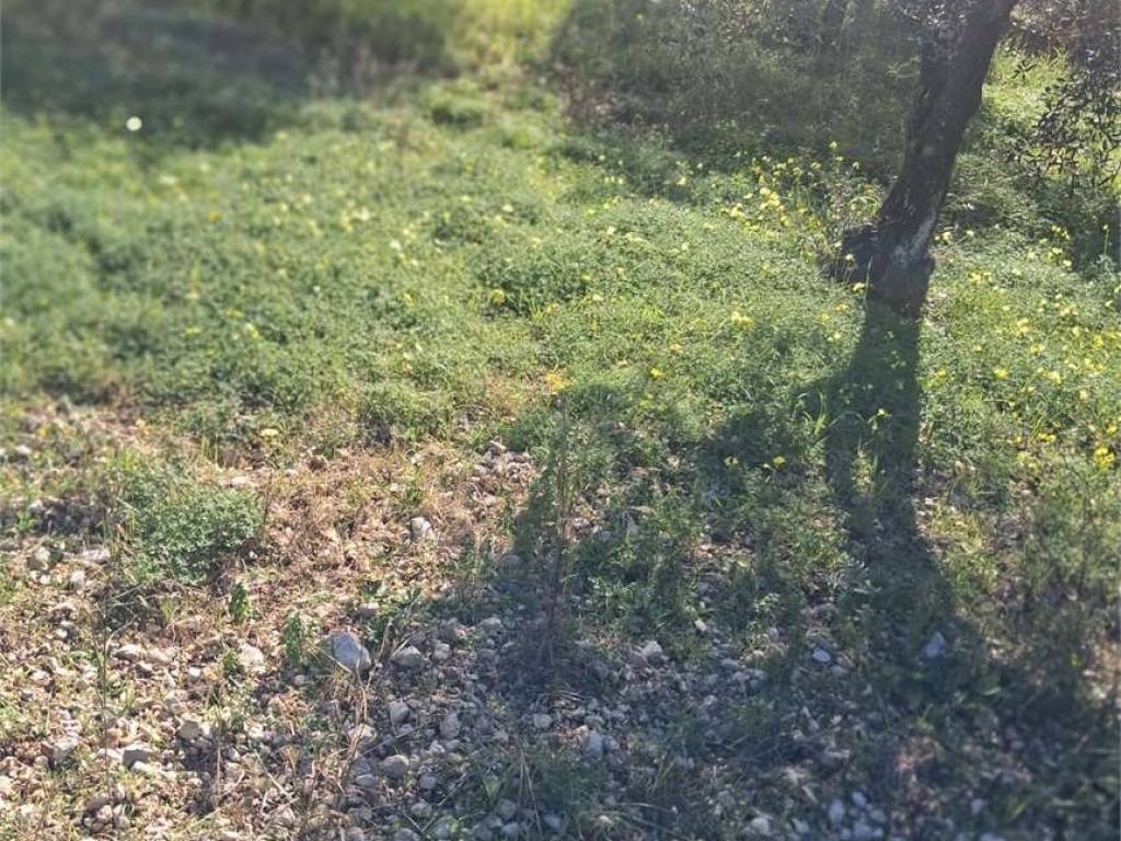 Terreno a Formia - Foto 2