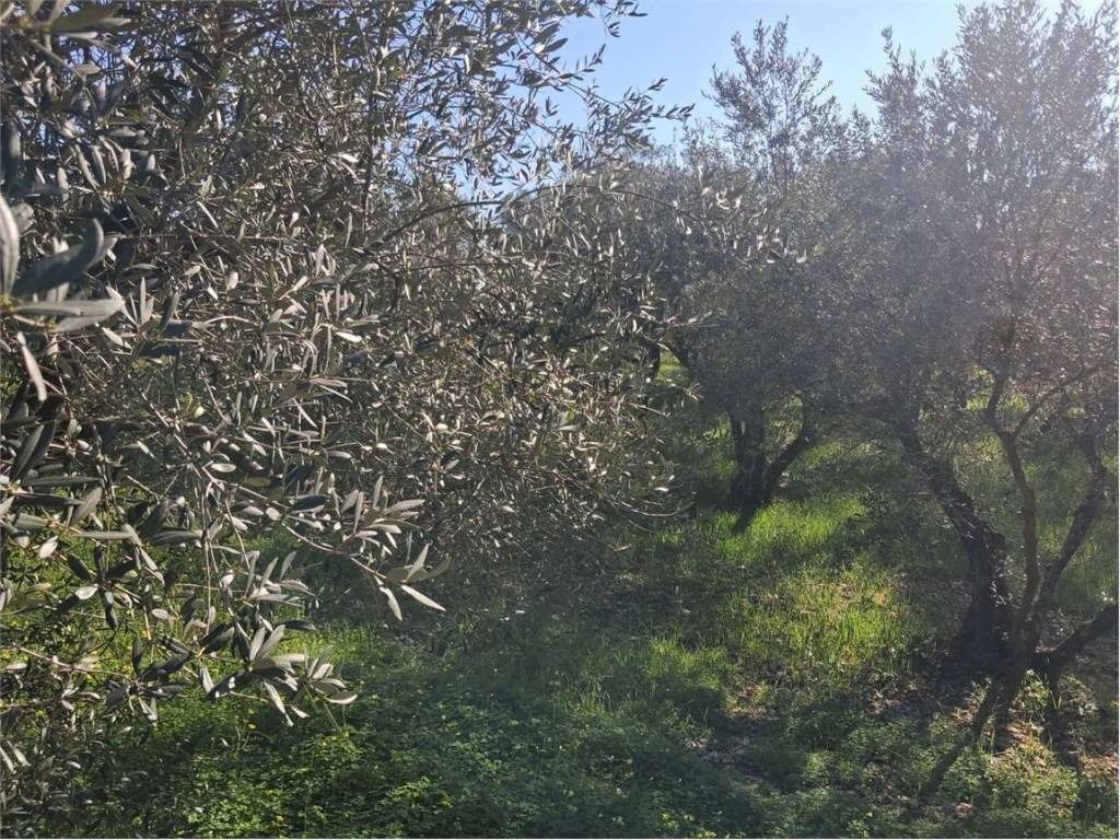 Terreno a Formia - Foto 3