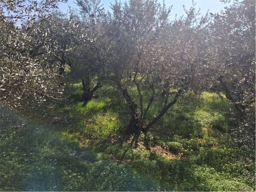 Terreno a Formia - Foto 4