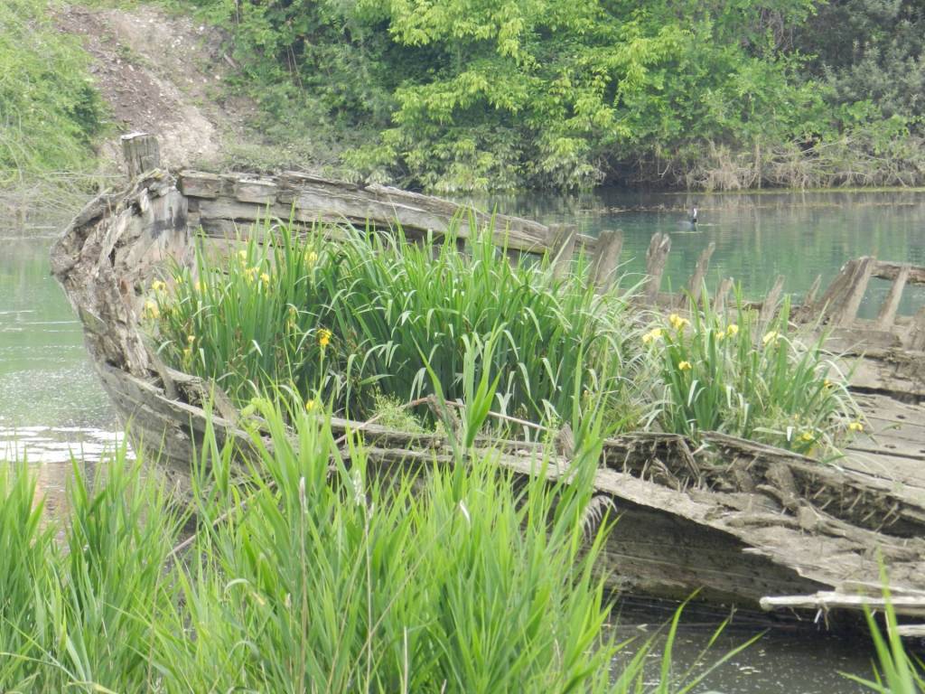 Appartamento a Silea - Foto 4