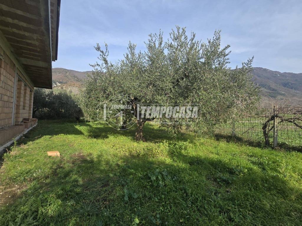 Casa indipendente a Avella - Foto 5