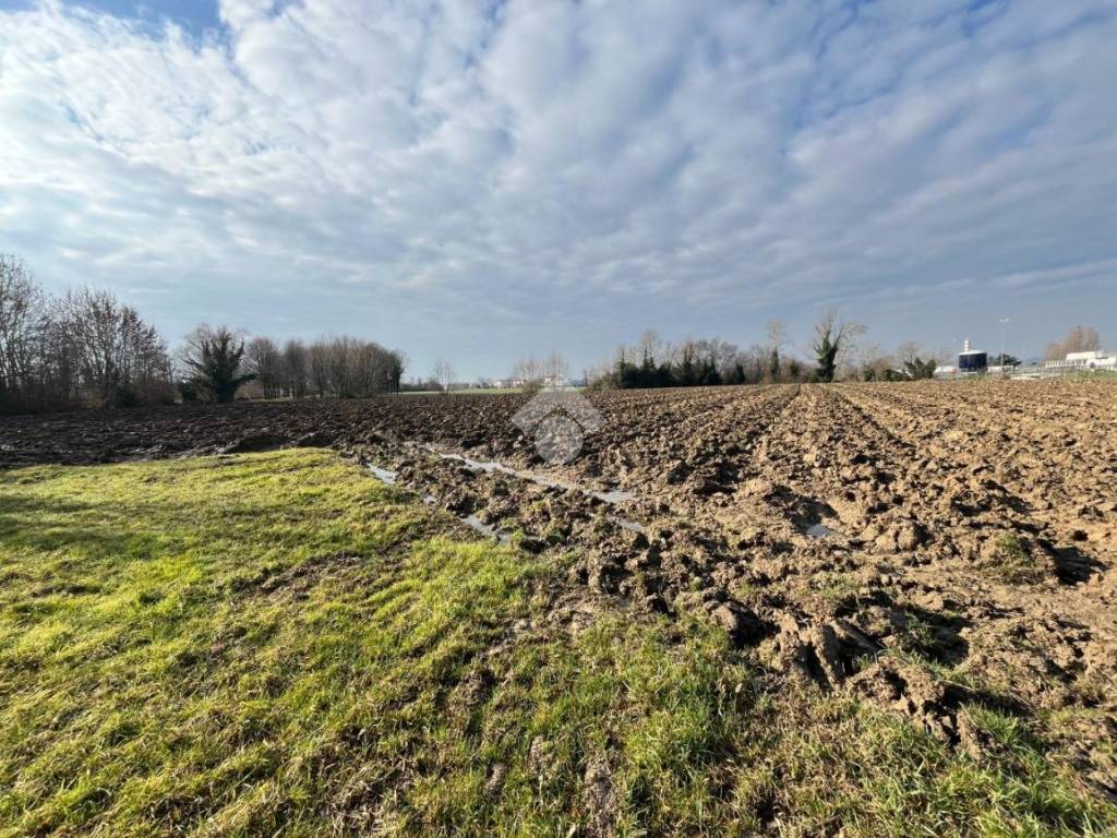Rustico / casale a Albignasego in via sant andrea, 1 - Foto 4