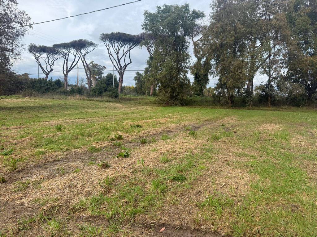 Terreno a Latina in Strada Litoranea, 2680 - Foto 3