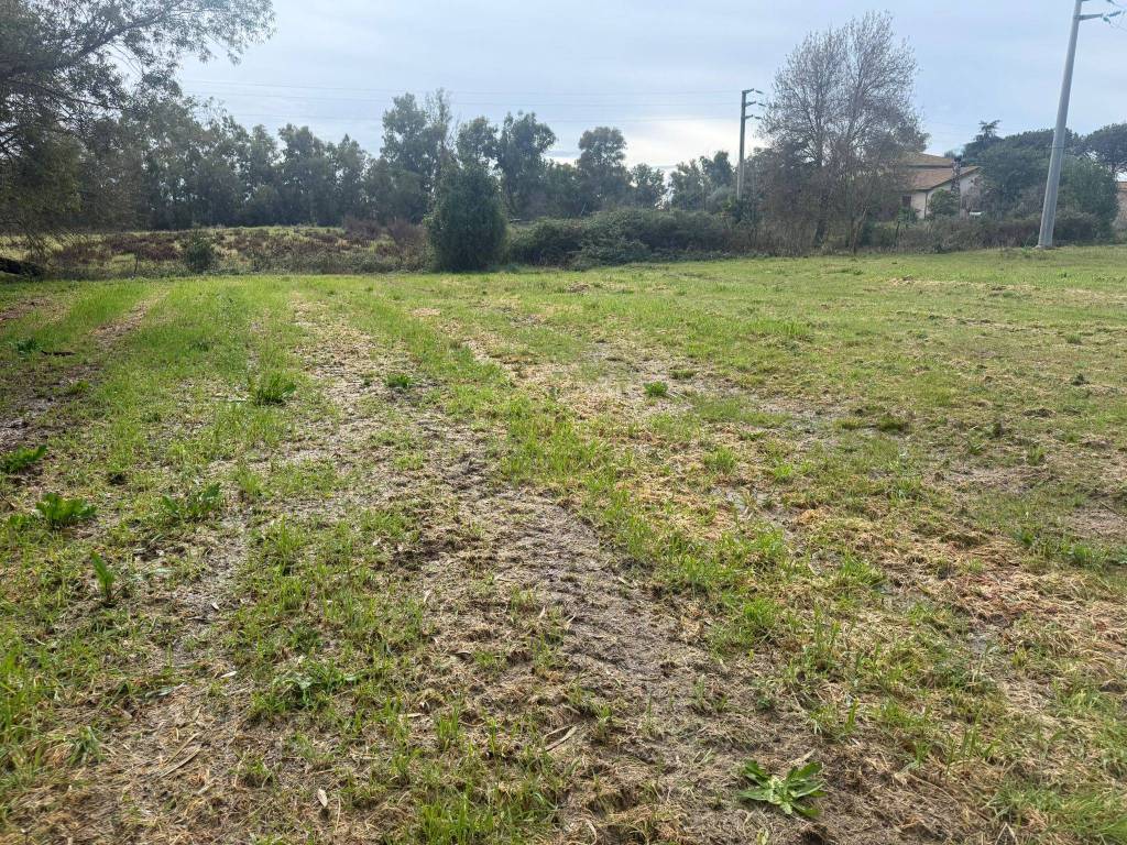 Terreno a Latina in Strada Litoranea, 2680 - Foto 4