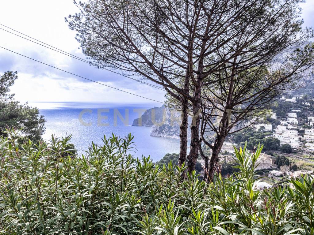 Villa a Capri in Via Tuoro, 11 - Foto 4