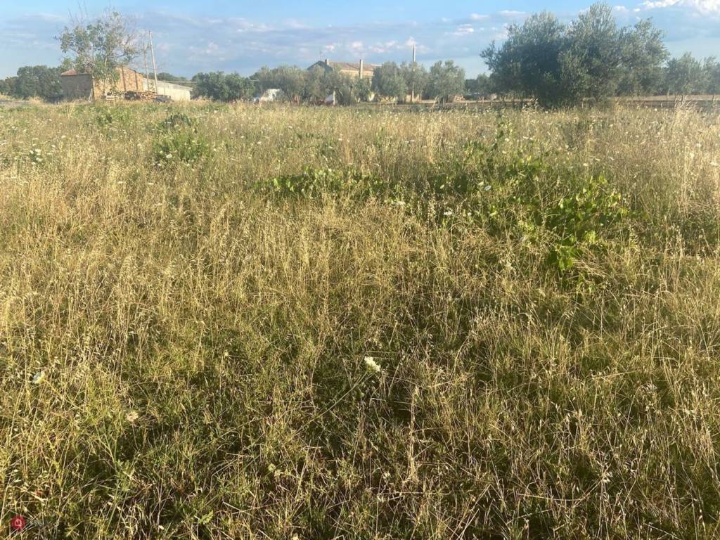 Terreno a Rocca san giovanni - Foto 2