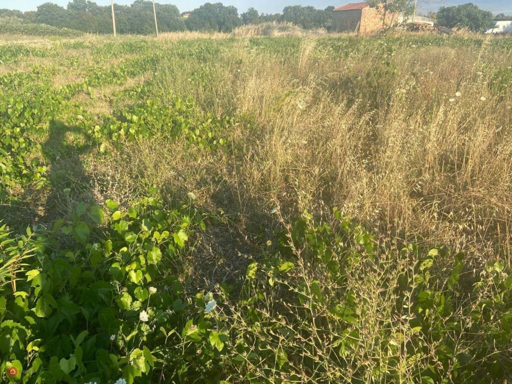 Terreno a Rocca san giovanni - Foto 4