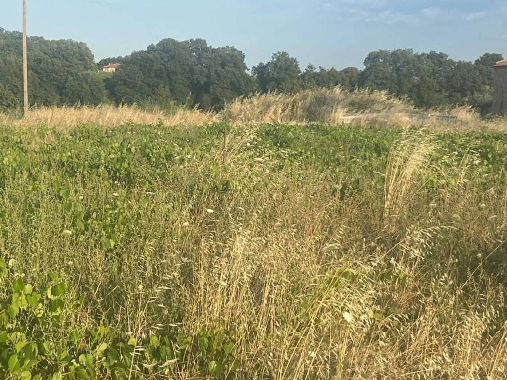 Terreno a Rocca san giovanni - Foto 5