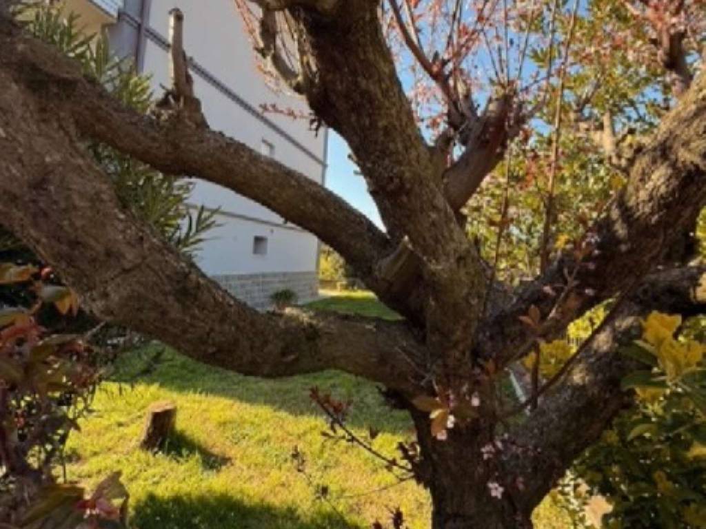 Appartamento a Sassuolo - Foto 2
