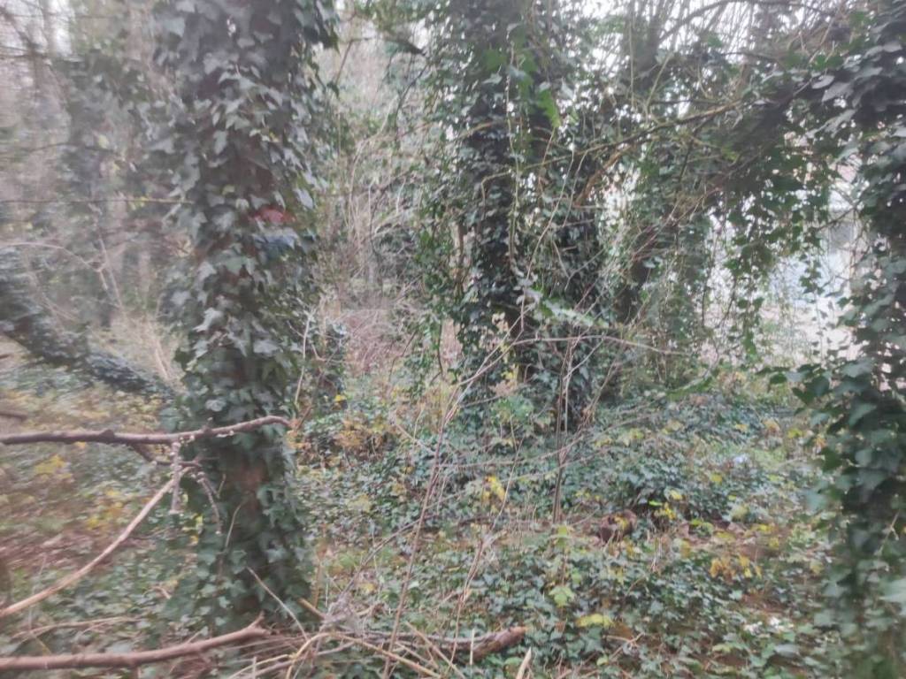 Terreno a Gorla maggiore in VIA DEI BOSCHI BELLI - Foto 2