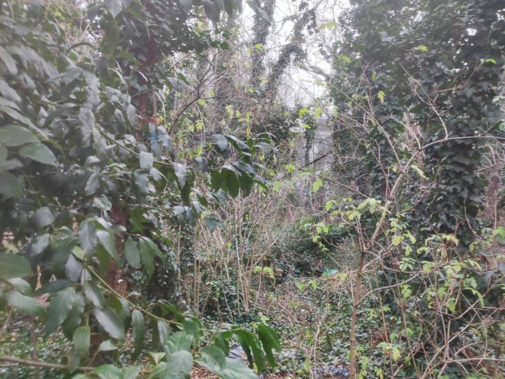 Terreno a Gorla maggiore in VIA DEI BOSCHI BELLI - Foto 3