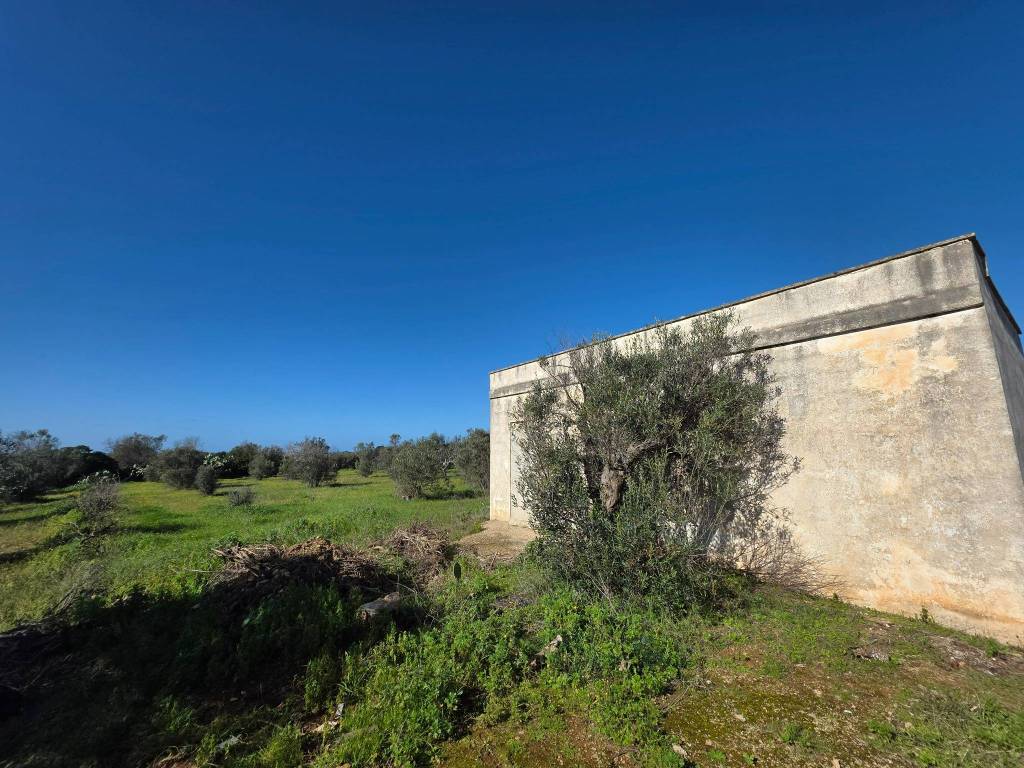 Rustico / casale a Taviano in Via Vicinale dei Beneficati - Foto 3