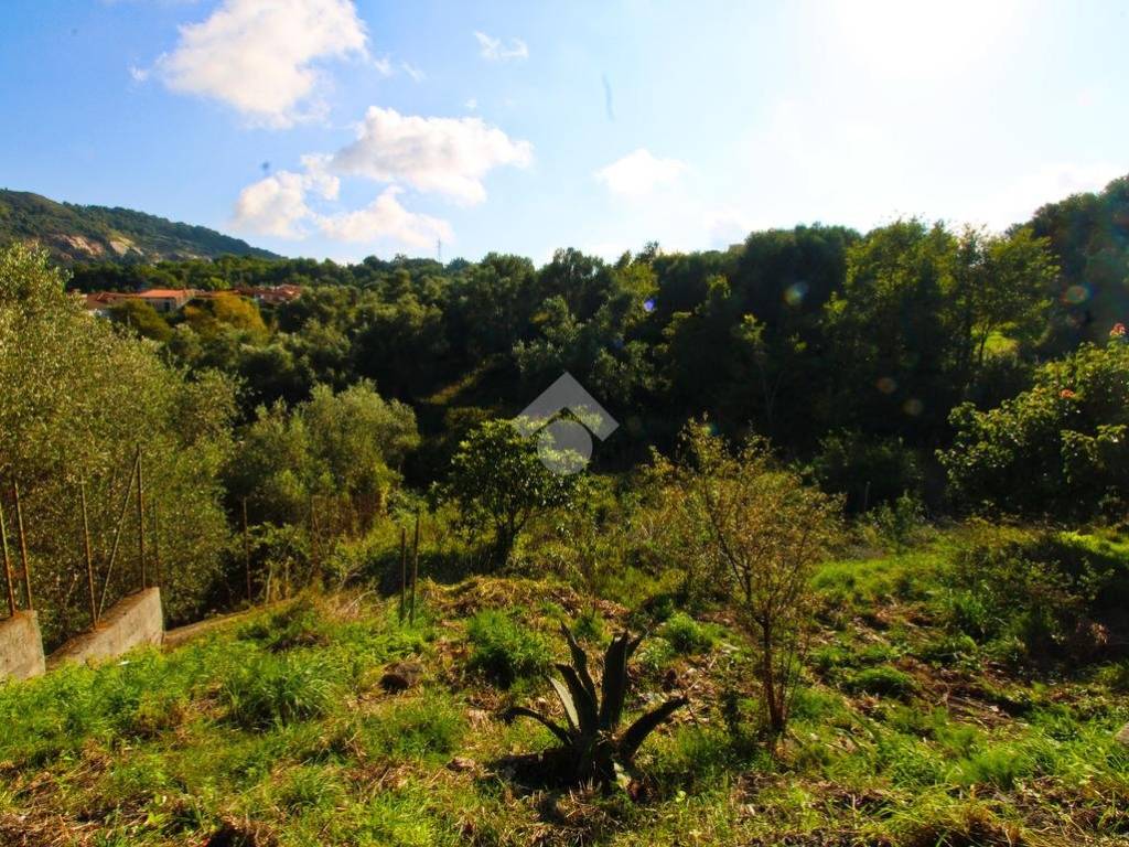 Appartamento a Centola in Via Rizzo, 9 - Foto 2