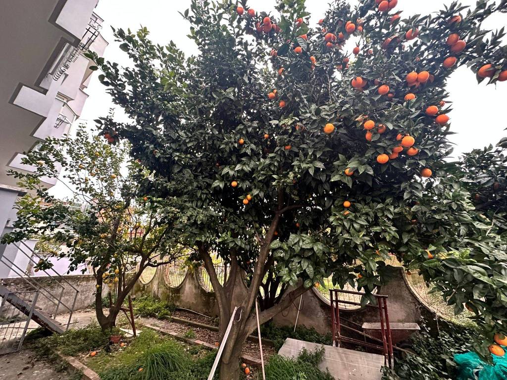 Appartamento a Mugnano di napoli in Via Carlo Rosselli, 3 - Foto 2