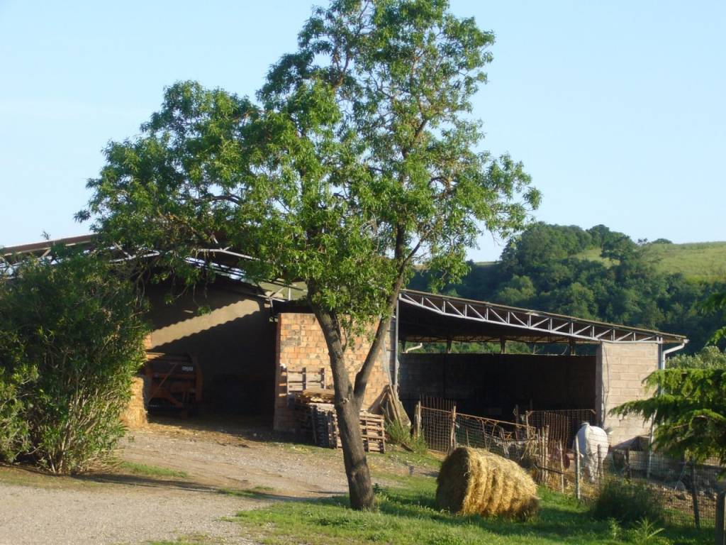 Immobile a Campagnatico in POGGIO GALLETTO , - Foto 2
