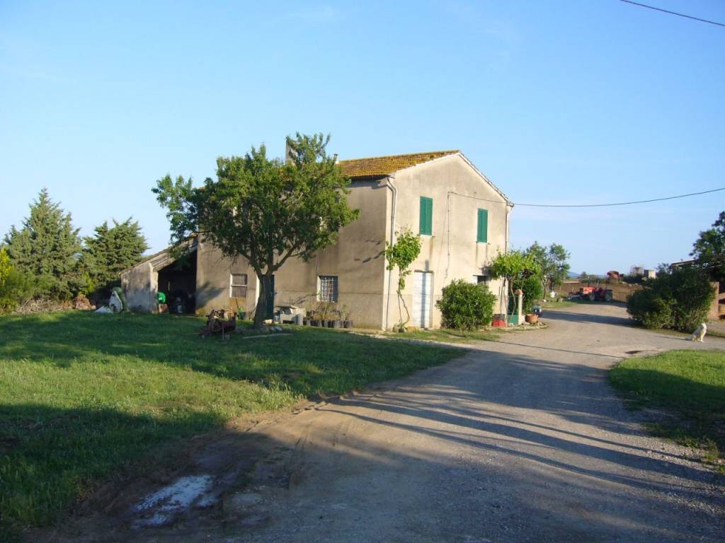Immobile a Campagnatico in POGGIO GALLETTO , - Foto 5