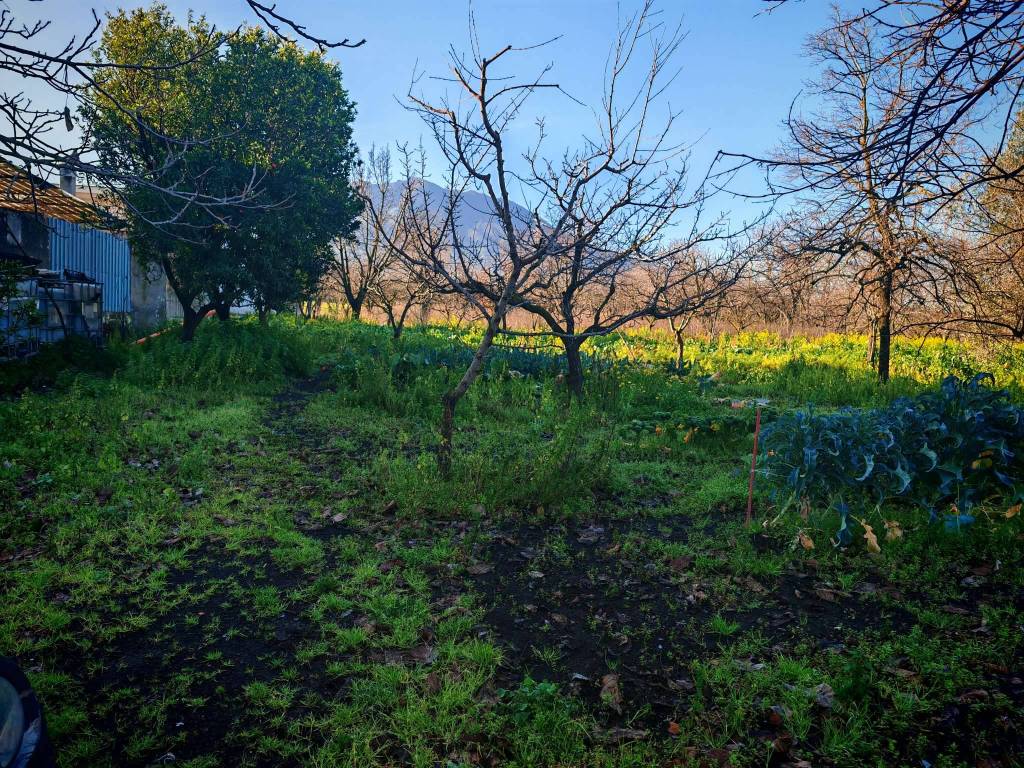 Terreno a Somma vesuviana in via cupa di nola - Foto 3