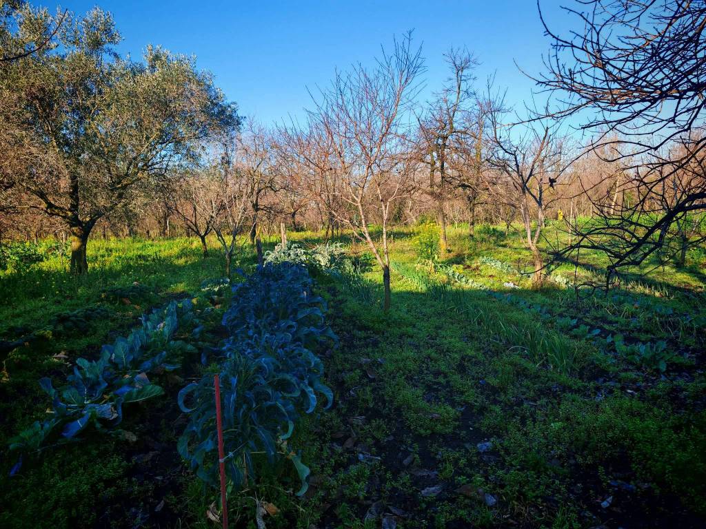 Terreno a Somma vesuviana in via cupa di nola - Foto 4