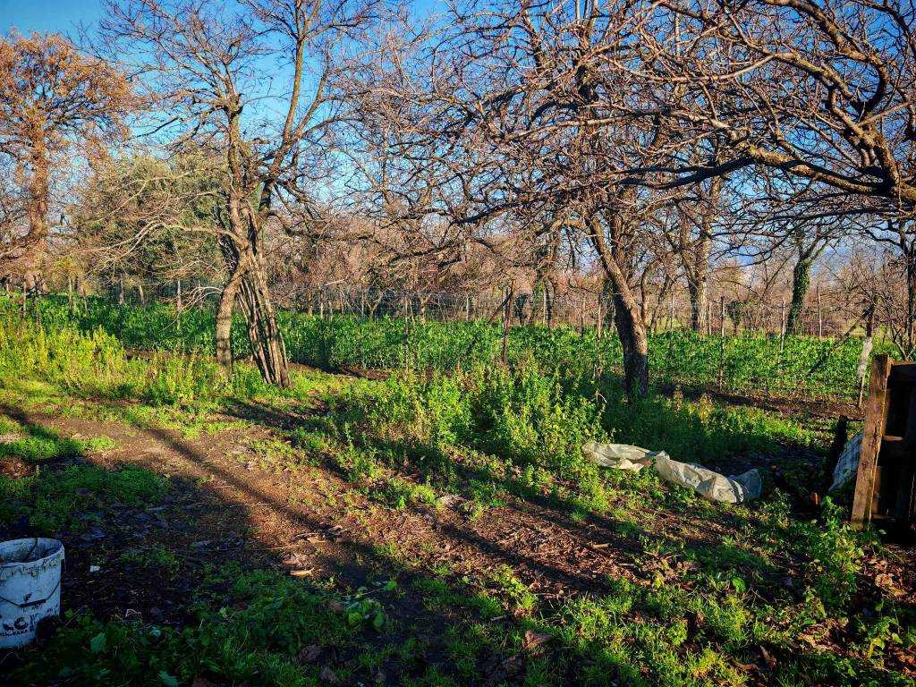 Terreno a Somma vesuviana in via cupa di nola - Foto 5