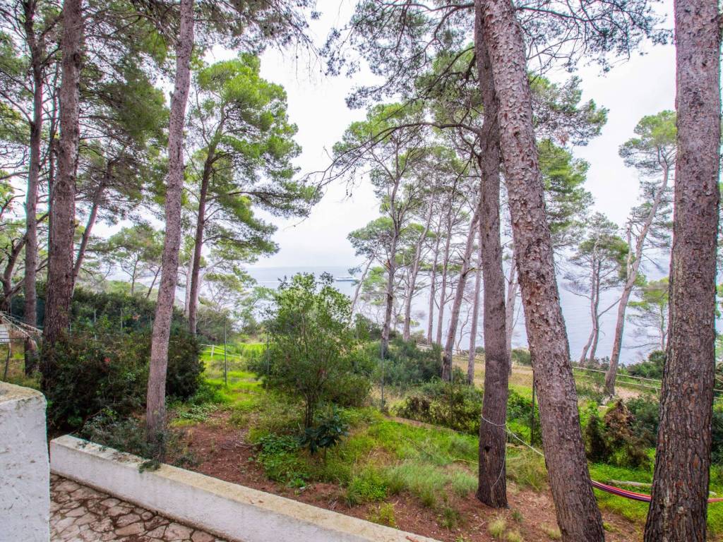 Villa a Isole tremiti in Piazza Vittorio Emanuele - Foto 5