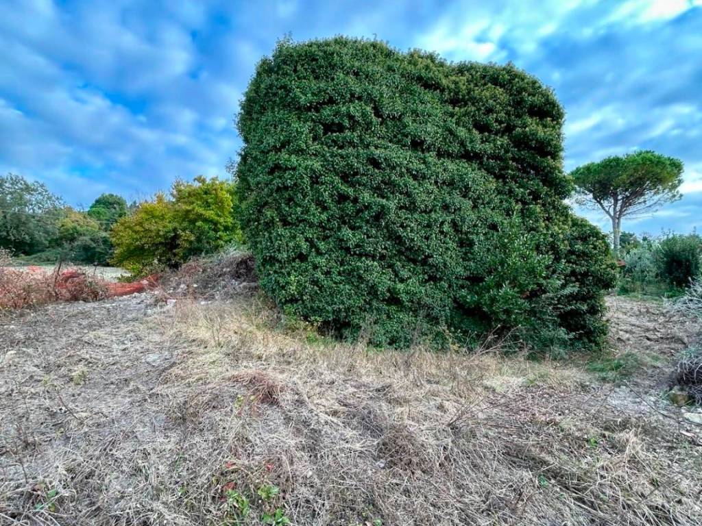 Rustico / casale a Ancona - Foto 3