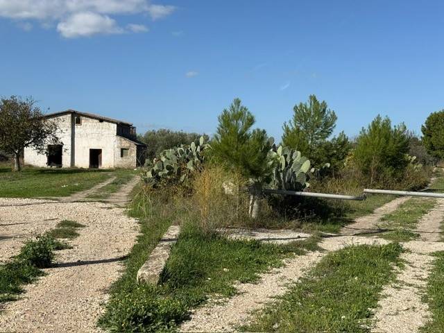 Terreno a Foggia in SS89 - Foto 4