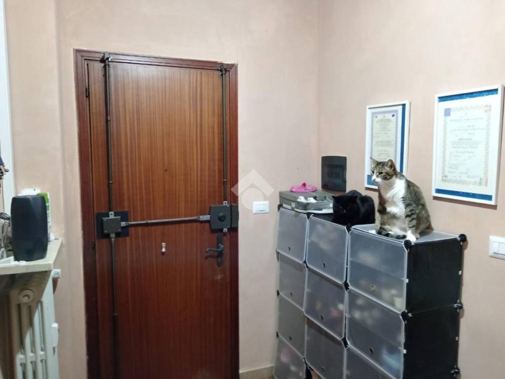 Appartamento a Vigone in Via pinerolo, 58 - Foto 3