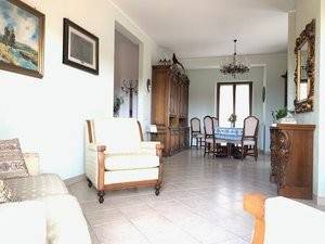 Appartamento a Marino in Via Marco Bellucci - Foto 4