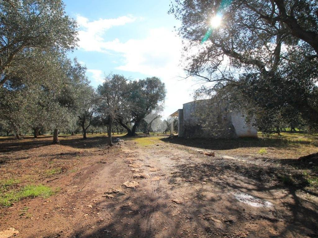 Rustico / casale a Ostuni - Foto 2