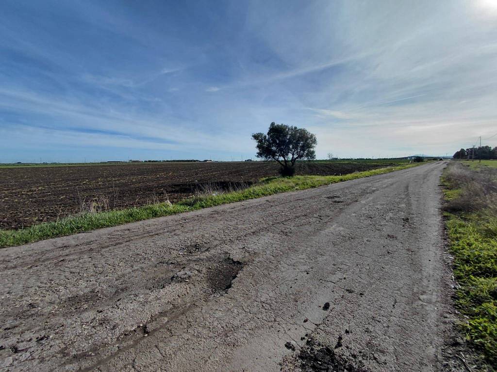 Terreno a Foggia in Borgo Cervaro - Foto 5