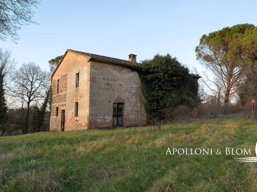 Rustico / casale a Città della pieve - Foto 4