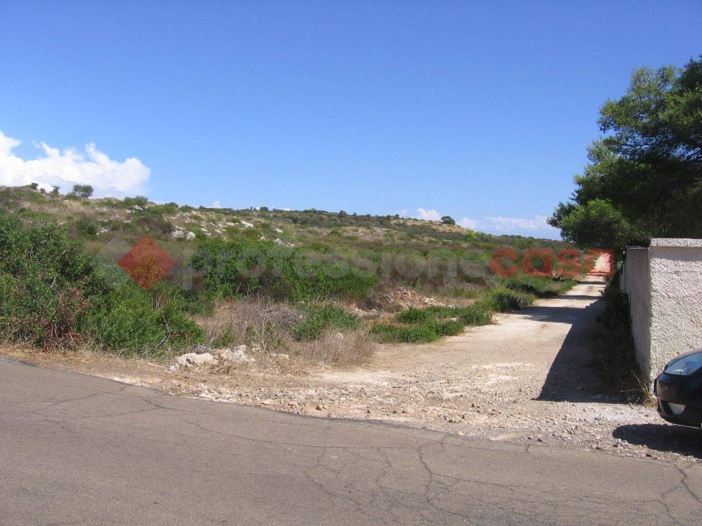 Terreno a Manduria in Contrada Surii, s/n - Foto 2